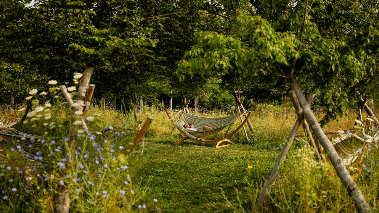 Schaug Rten Kamptal Wagram Tullner Donauraum