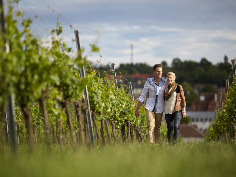 Spaziergang durch die Weingärten bei Langenlois © LOISIUM