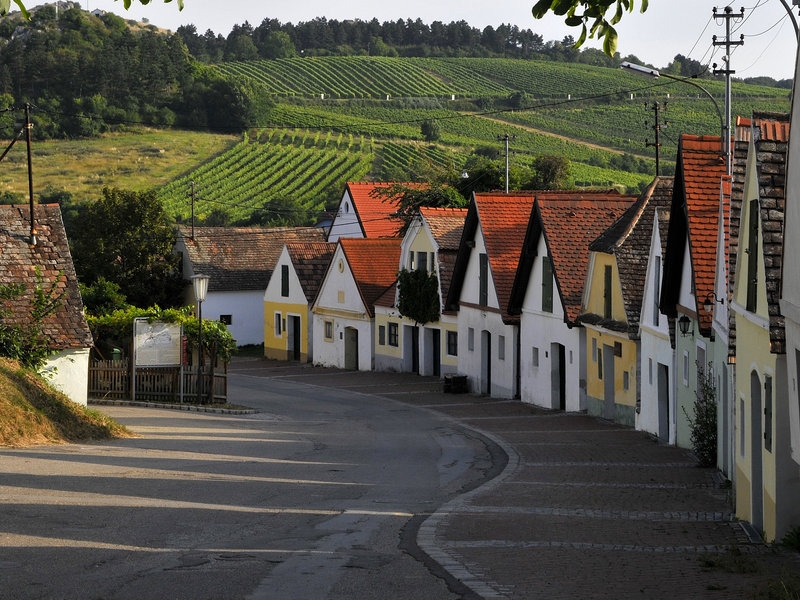 Weinviertler Kellergasse im Herbst