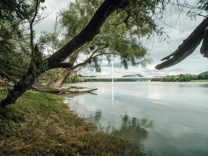 Donau Auen