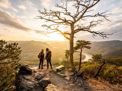 Durch das Riedingtal nach Mühlbach - BERGFEX - Hiking - Tour