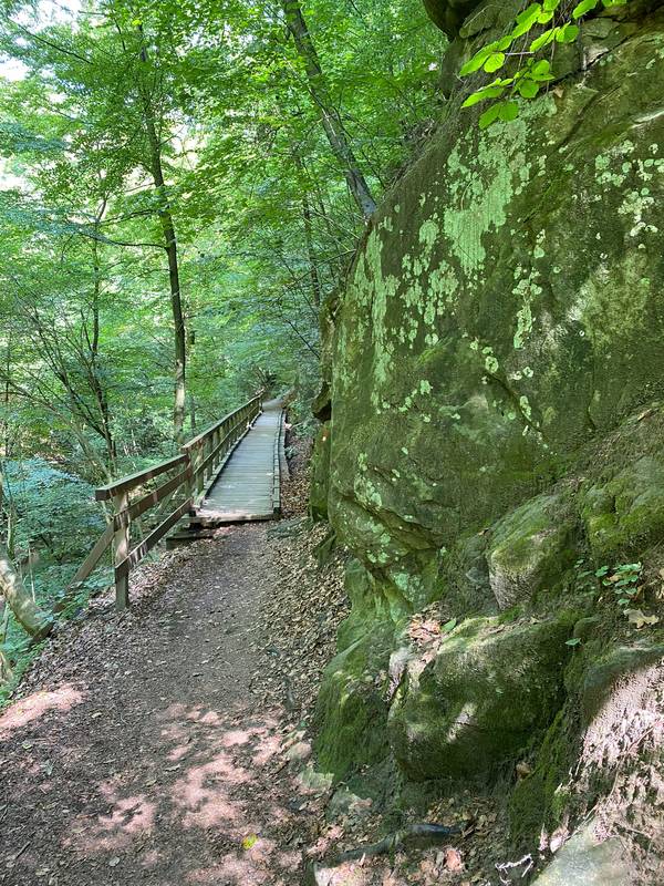 Hagenbachklamm Naturpark Eichenhain - Donau Niederösterreich